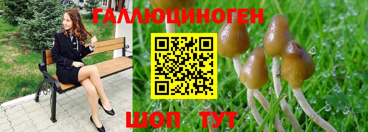 Галлюциногенные грибы Psilocybe Орехово-Зуево